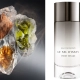 Issey Miyake Le Sel d’Issey Eau de Parfum – moška dišava s slanim akordom, jantarjem in cedrovino.