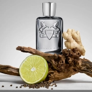 Castley Parfums de Marly – lesno-začinjena moška dišava s timutskim poprom, ingverjem in jantarjem.
